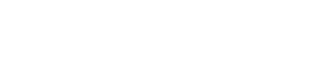 TOYO888